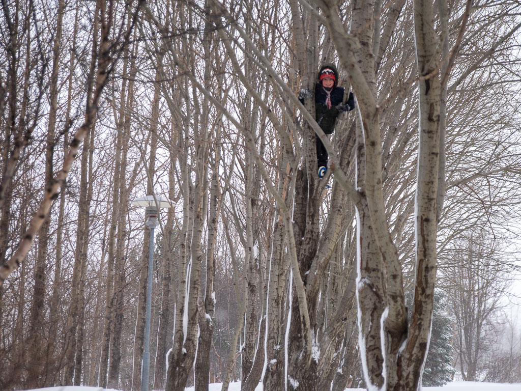 Pentax K-1 / 17 Pentax K-1   17