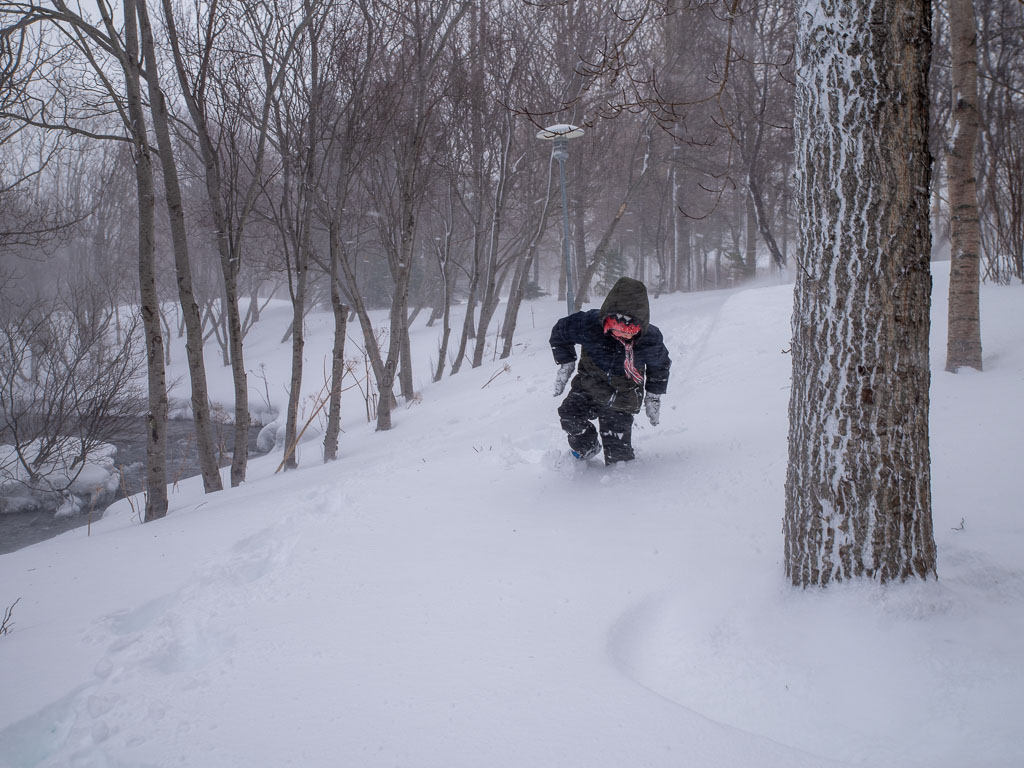 Pentax K-1 / 17 Pentax K-1   17