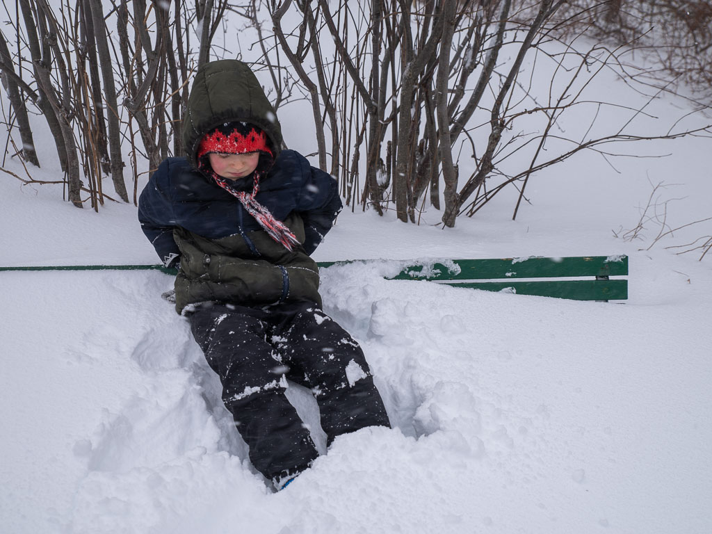 Pentax K-1 / 17 Pentax K-1   17