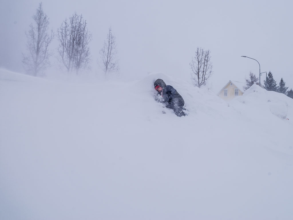 Pentax K-1 / 17 Pentax K-1   17