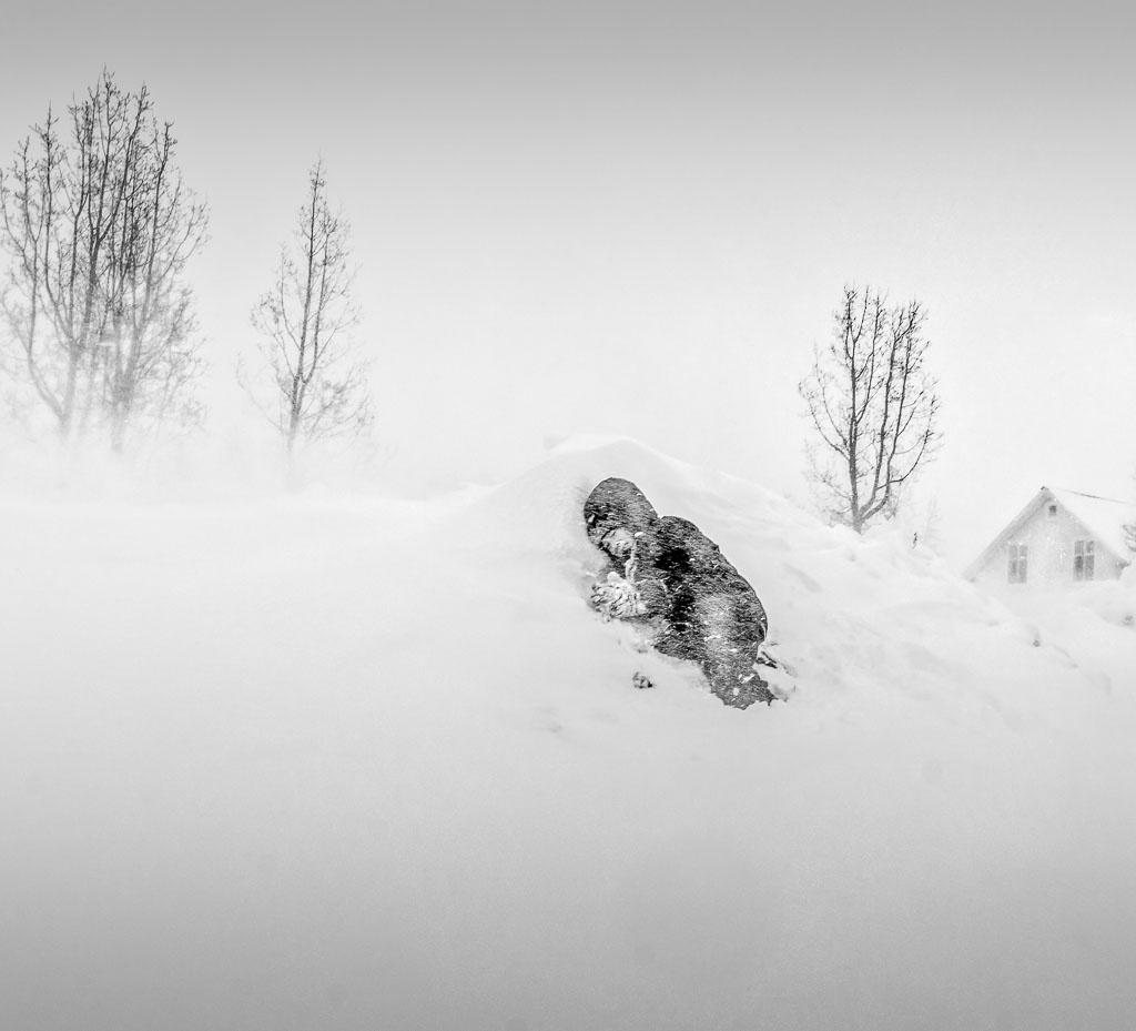 Pentax K-1 / 17 Pentax K-1   17