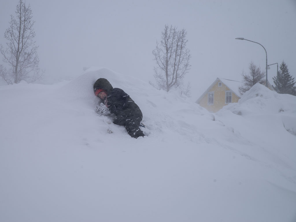Pentax K-1 / 17 Pentax K-1   17