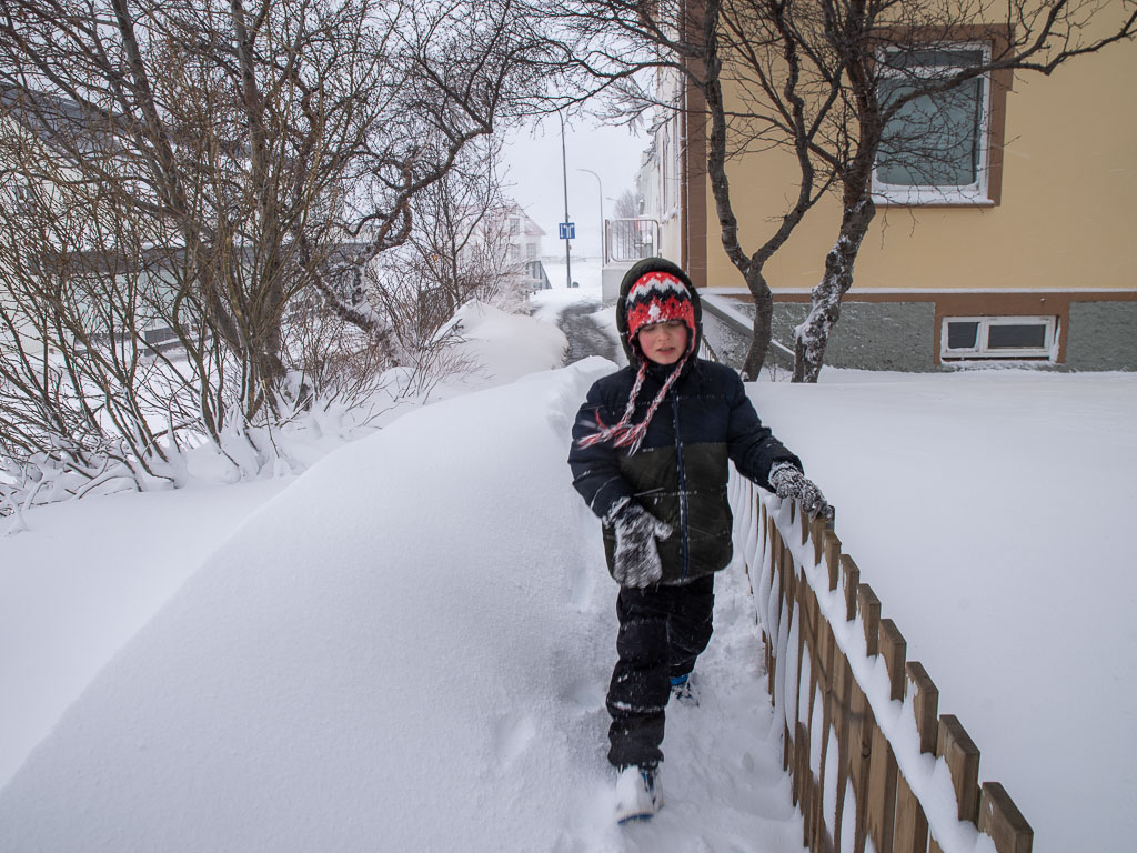 Pentax K-1 / 17 Pentax K-1   17