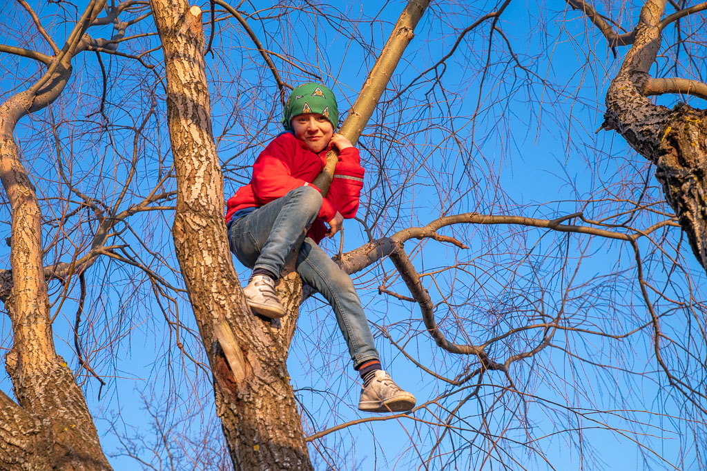 Pentax K-1 / 5 Pentax K-1   5