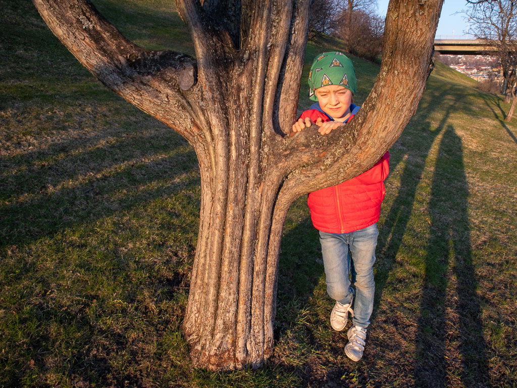 Pentax K-1 / 5 Pentax K-1   5