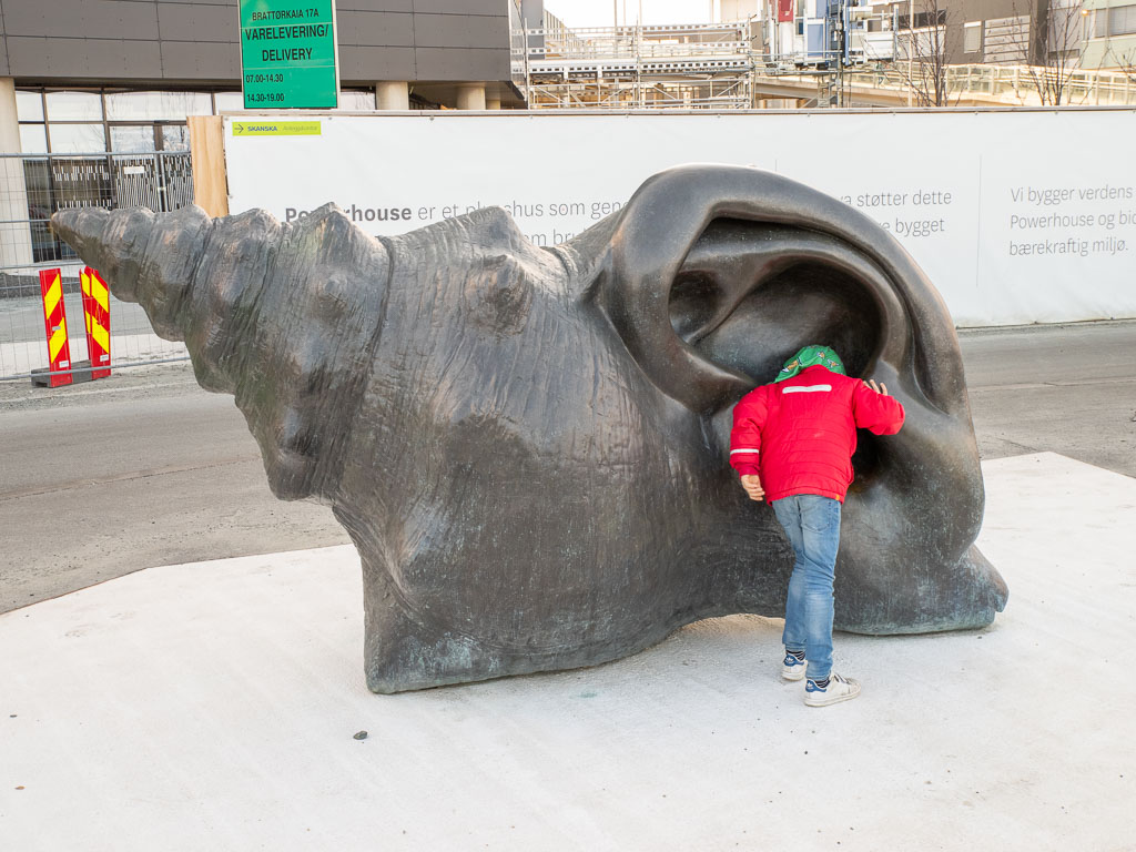 Pentax K-1 / 6 Pentax K-1   6