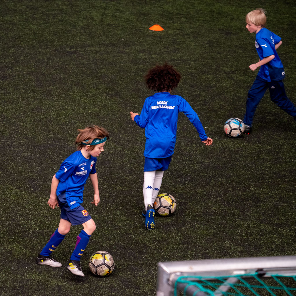 Pentax K-1 / 12 Pentax K-1   12