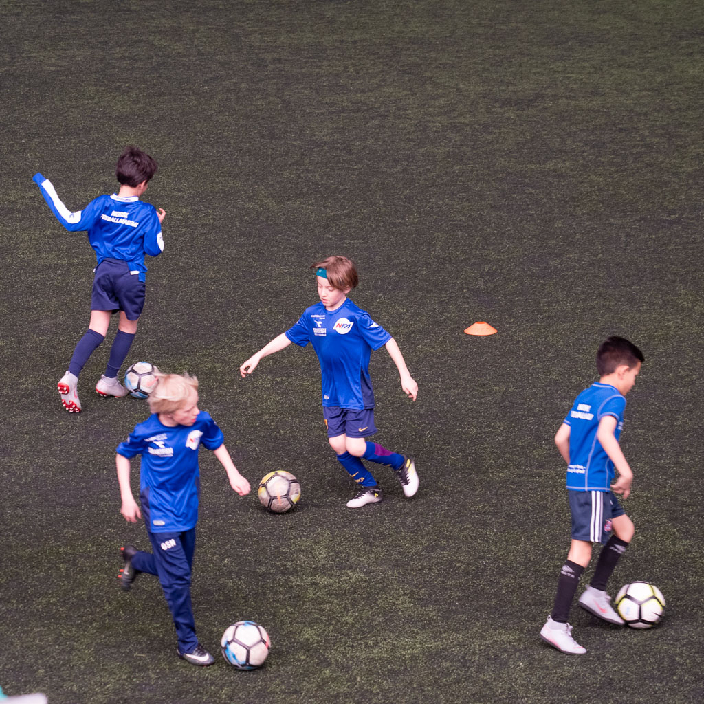 Pentax K-1 / 12 Pentax K-1   12