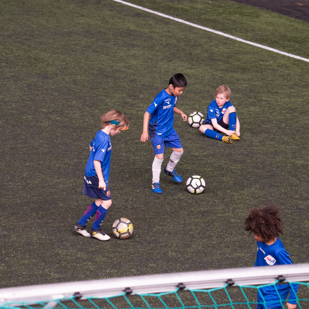 Pentax K-1 / 12 Pentax K-1   12