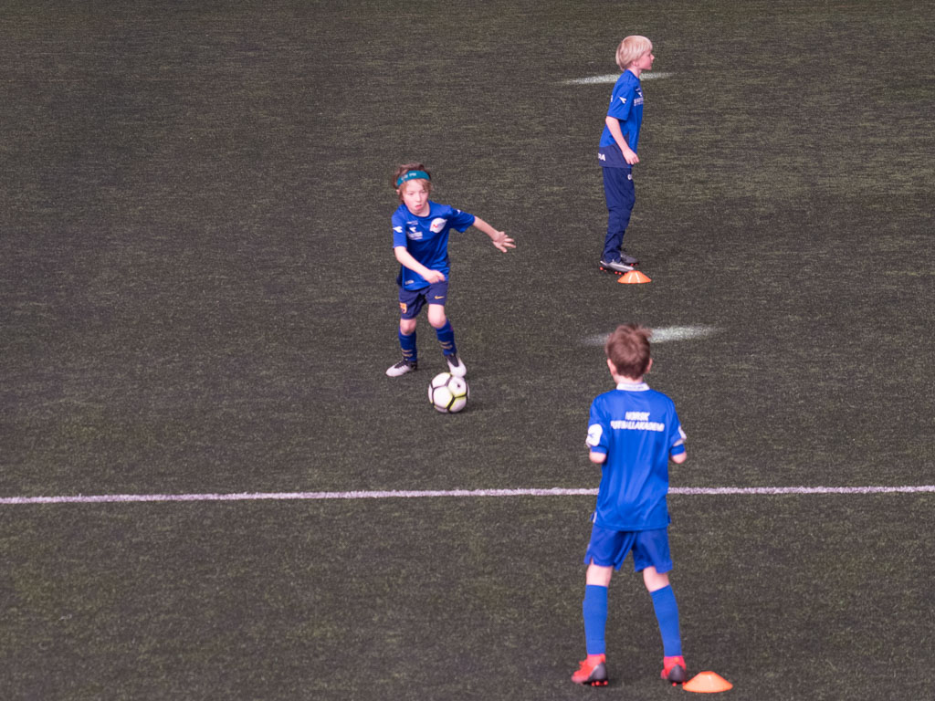 Pentax K-1 / 12 Pentax K-1   12