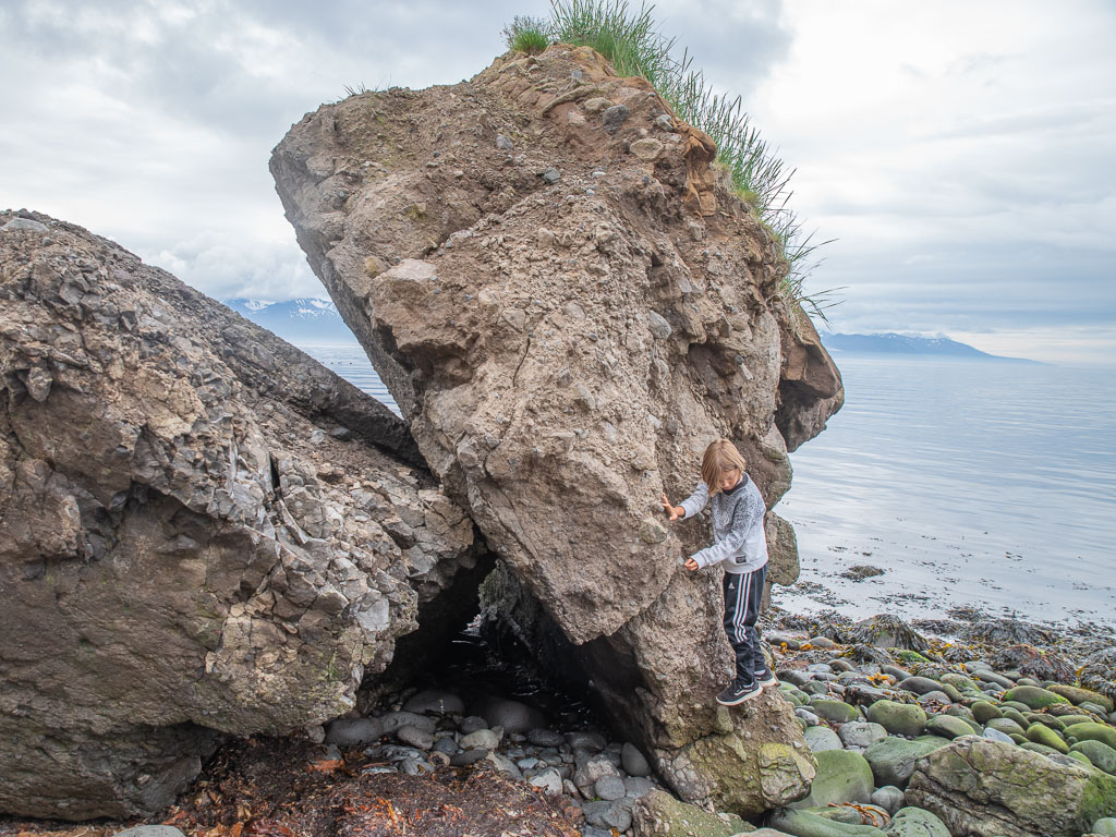 Pentax K-1 / 16 Pentax K-1   16