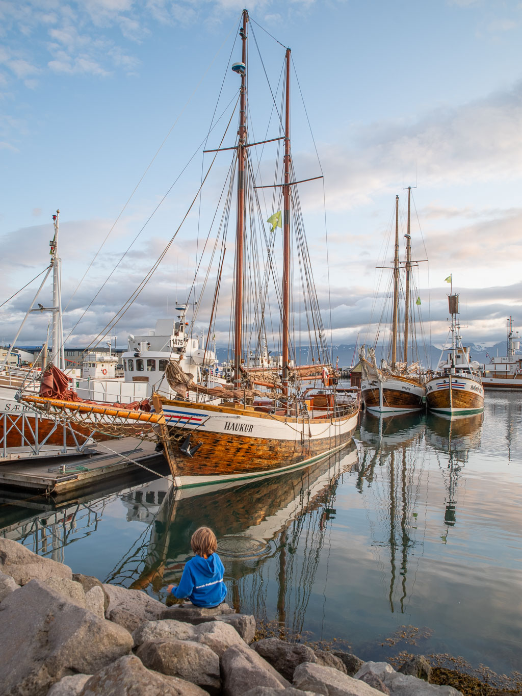 Pentax K-1 / 20 Pentax K-1   20