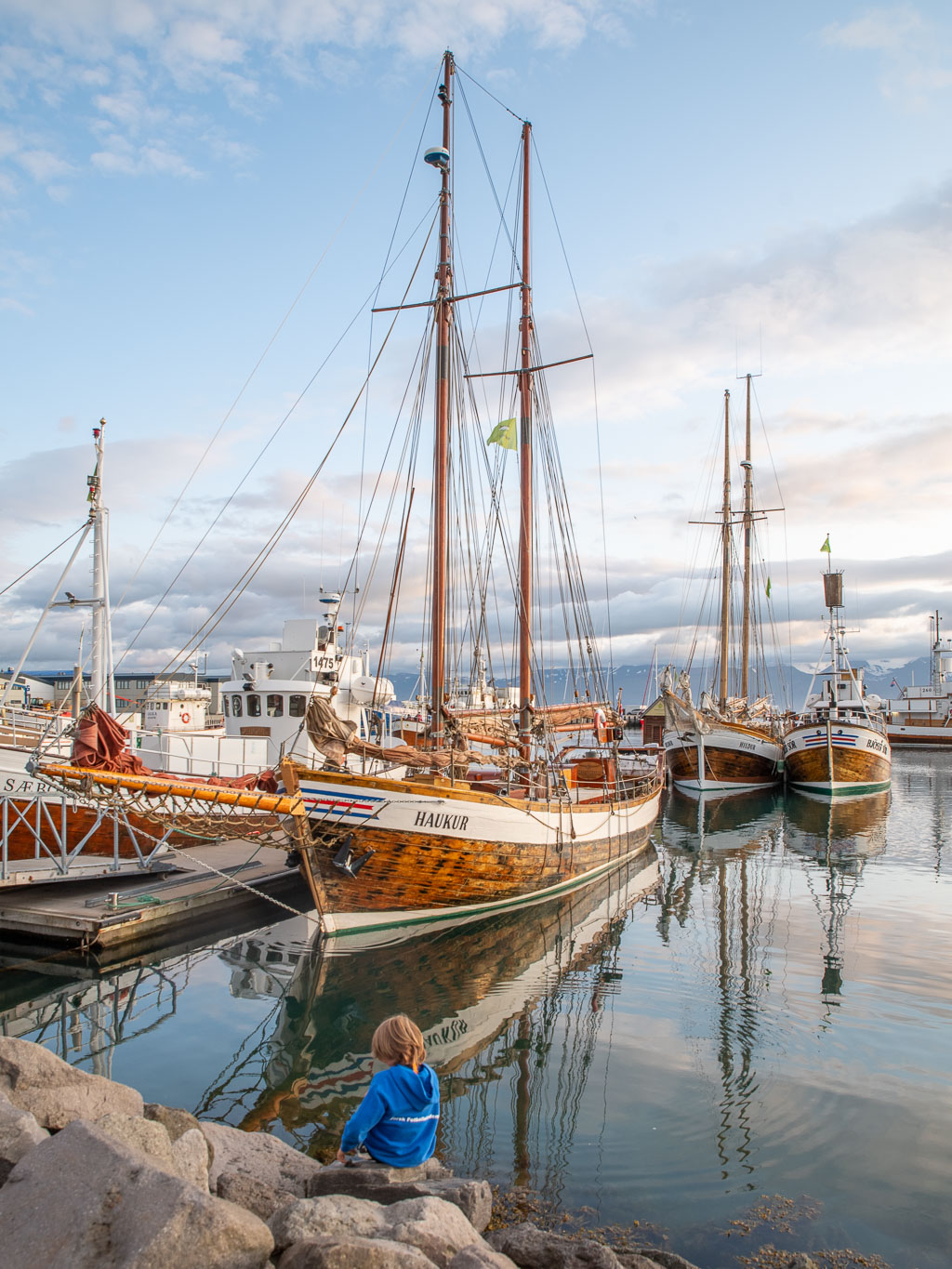 Pentax K-1 / 20 Pentax K-1   20