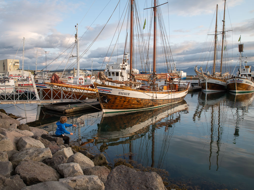 Pentax K-1 / 20 Pentax K-1   20