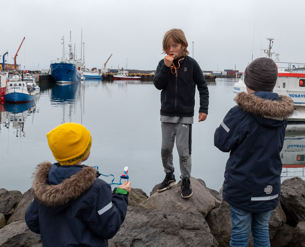 Pentax K-1 / 26 Pentax K-1   26