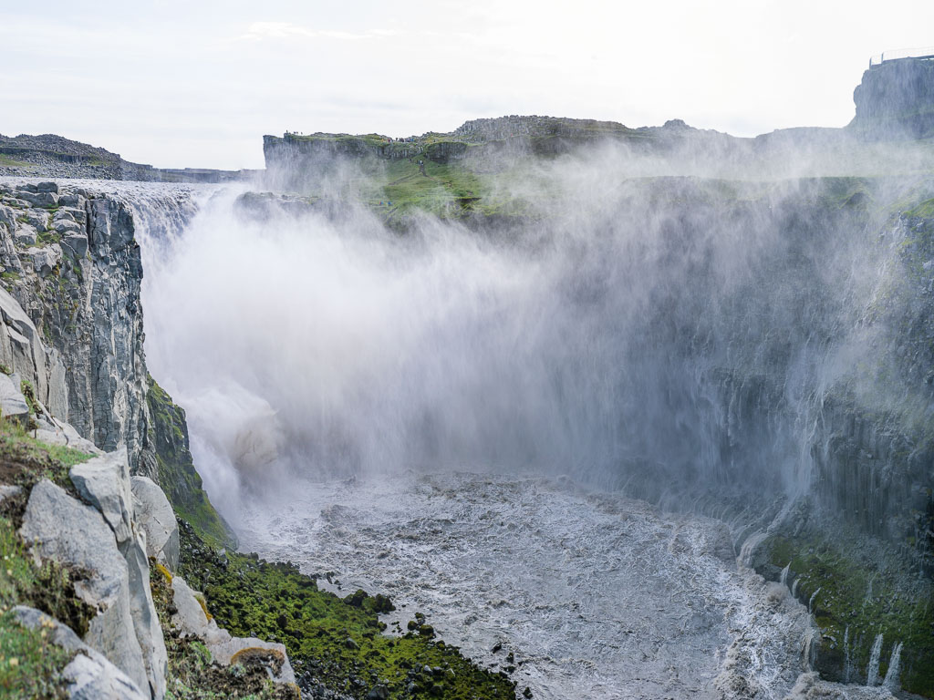 Pentax 645D / 1 Pentax 645D   1