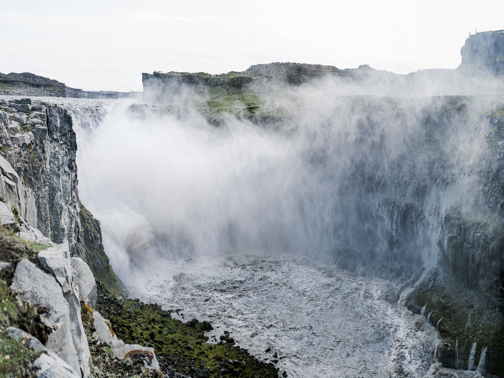 Pentax 645D / 1 Pentax 645D   1