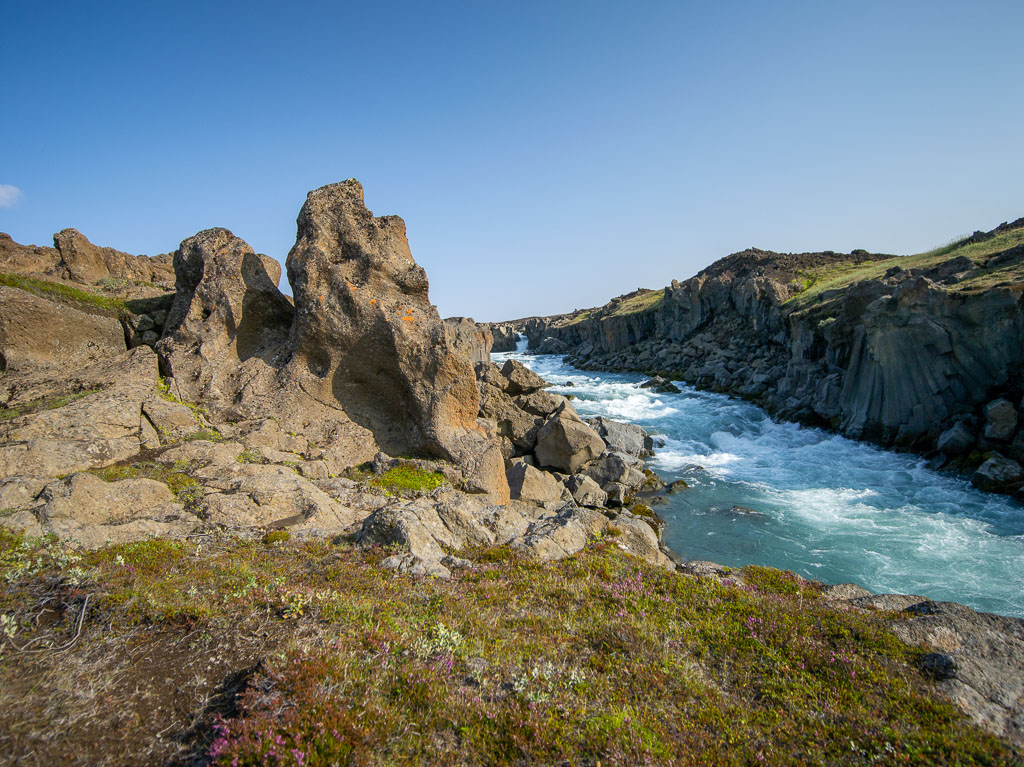 Pentax 645D / 20 Pentax 645D   20