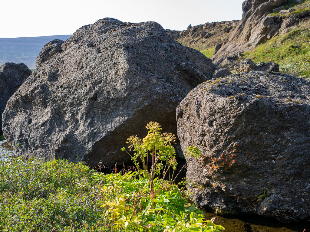 Pentax 645D / 20 Pentax 645D   20