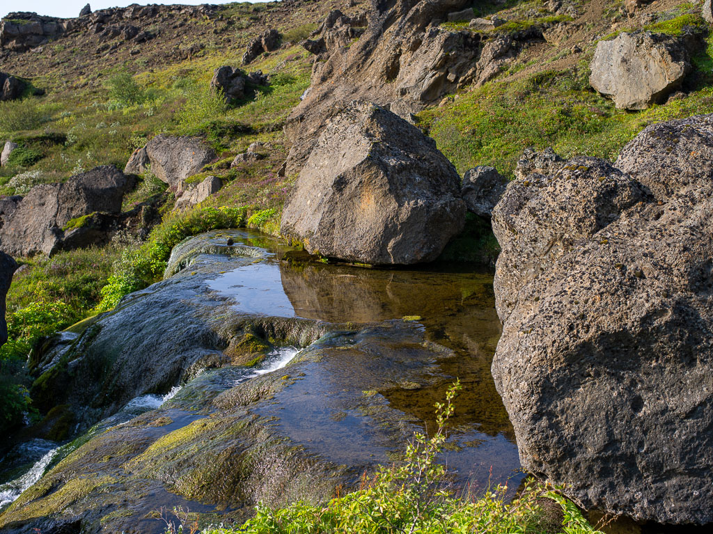 Pentax 645D / 20 Pentax 645D   20