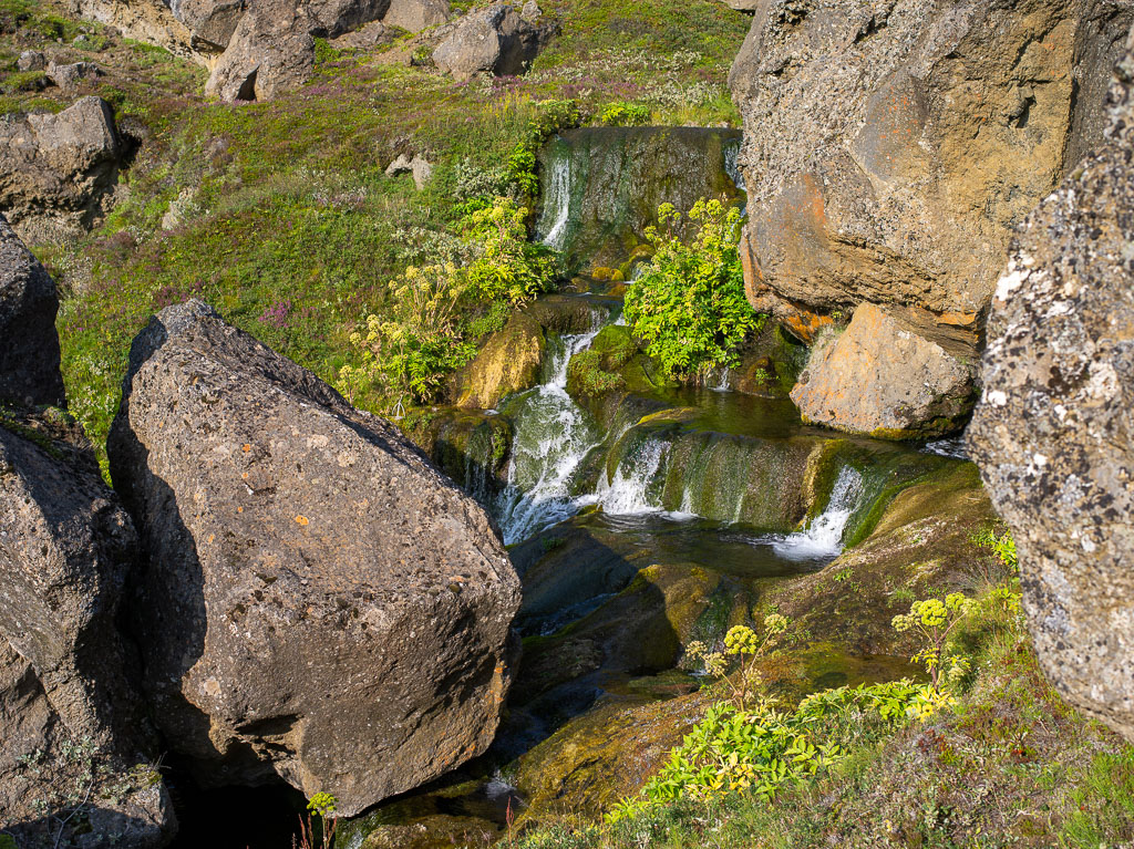 Pentax 645D / 20 Pentax 645D   20