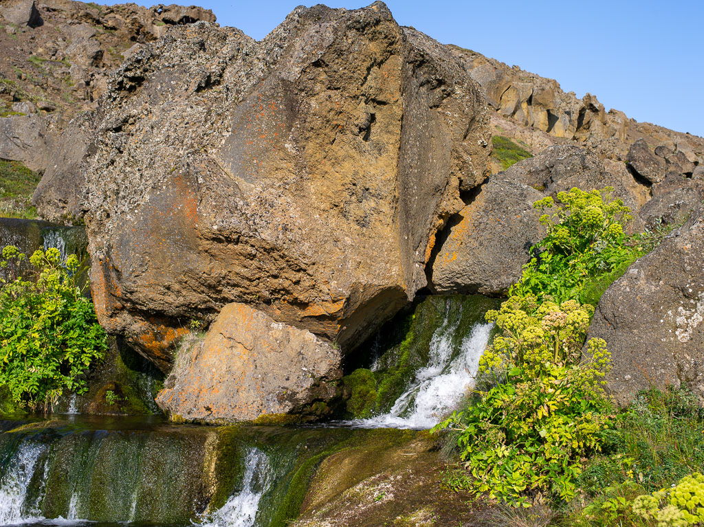 Pentax 645D / 20 Pentax 645D   20