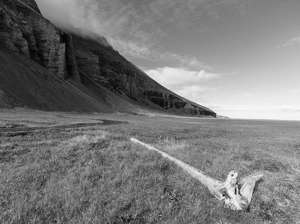 Pentax 645D / 31 Pentax 645D   31