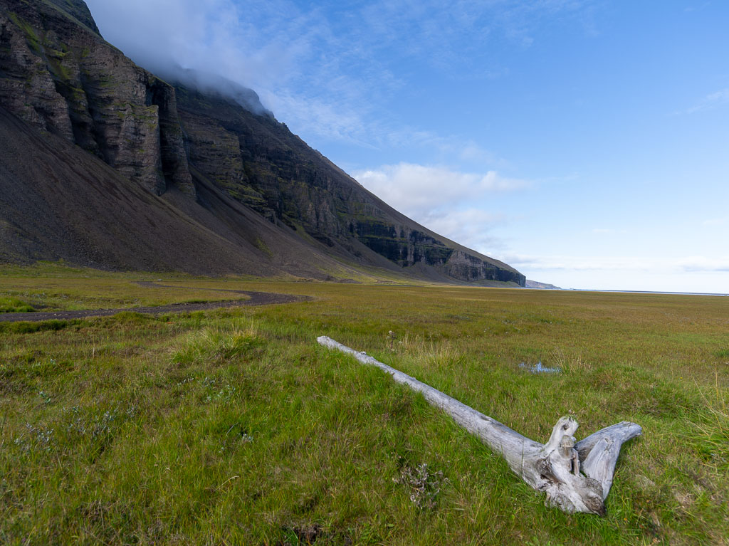 Pentax 645D / 31 Pentax 645D   31