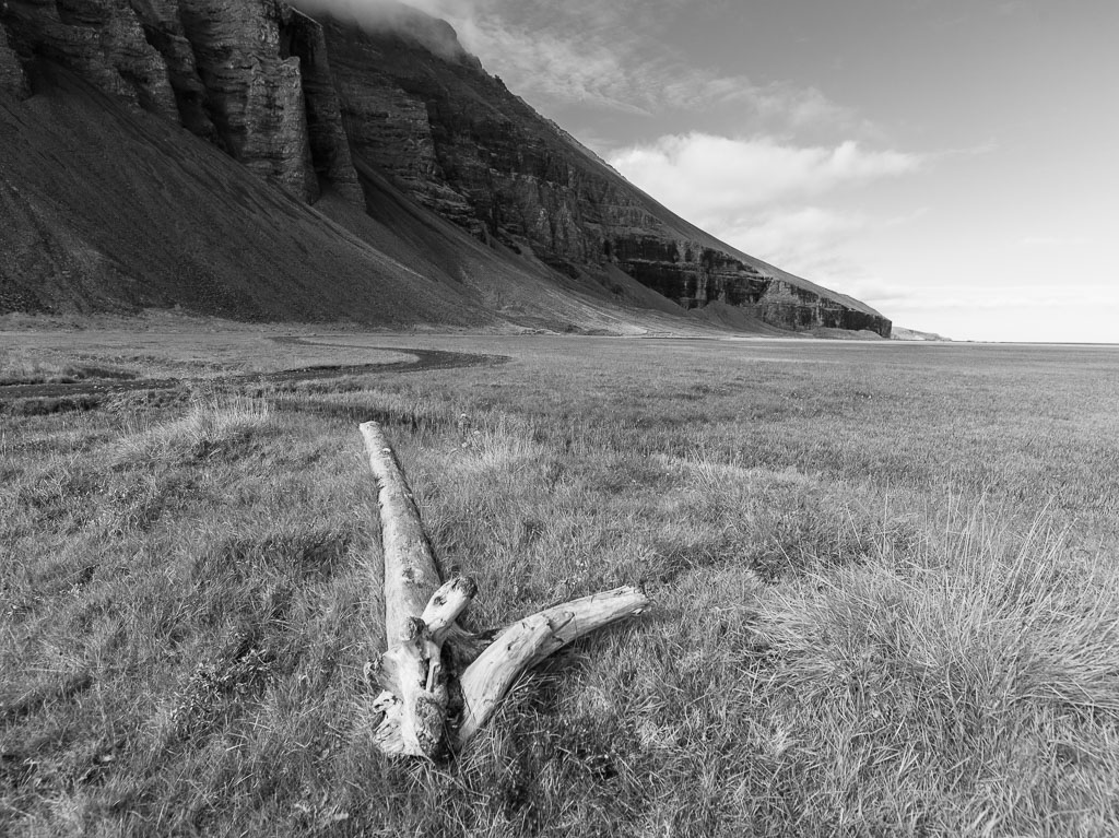 Pentax 645D / 31 Pentax 645D   31