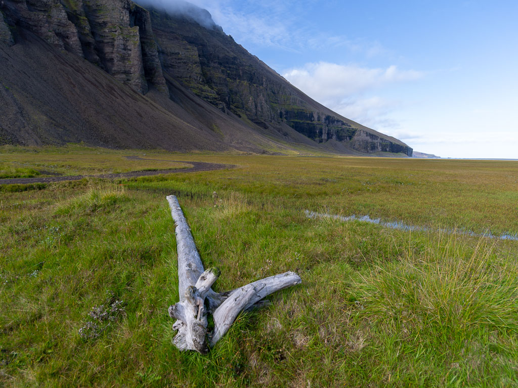 Pentax 645D / 31 Pentax 645D   31