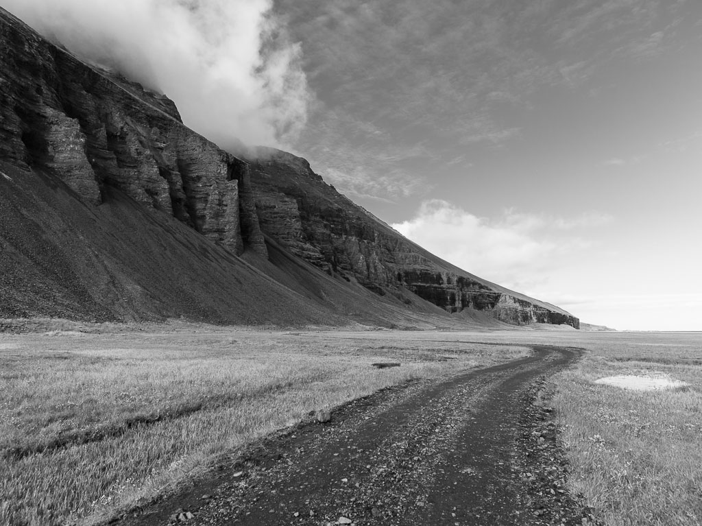 Pentax 645D / 31 Pentax 645D   31