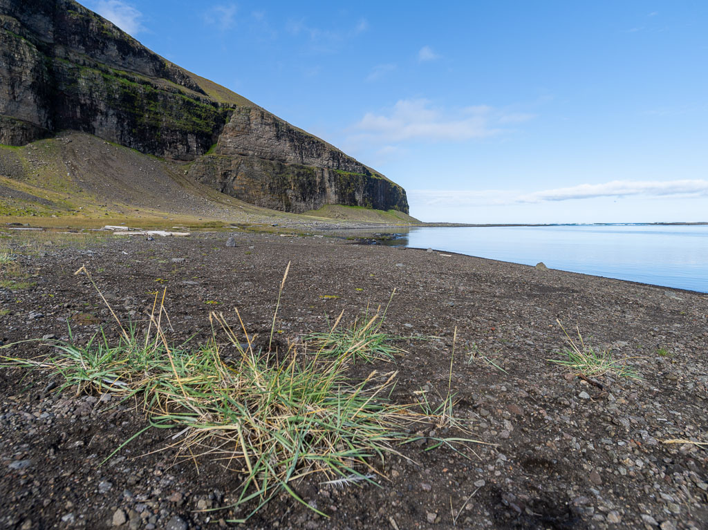 Pentax 645D / 31 Pentax 645D   31