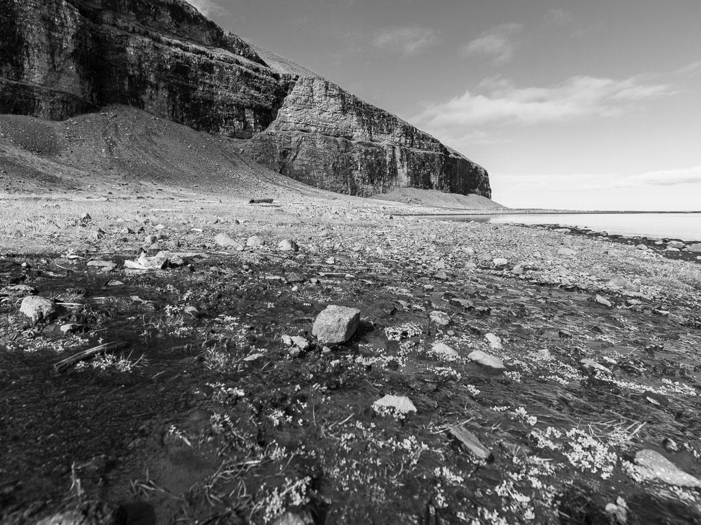 Pentax 645D / 31 Pentax 645D   31