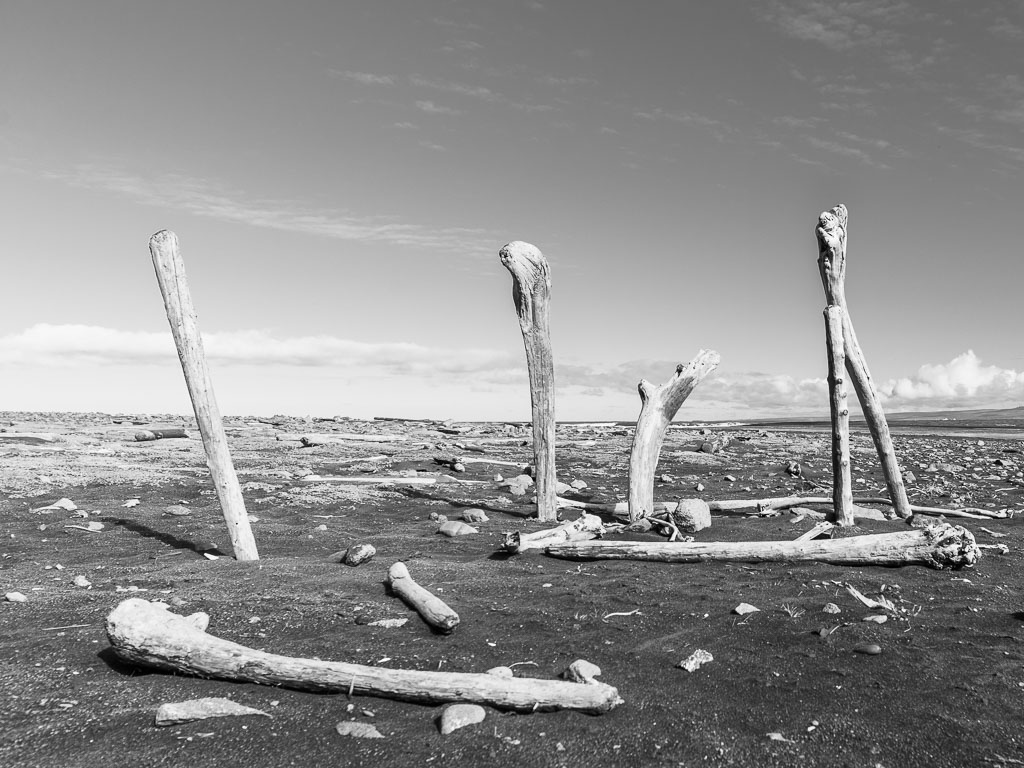 Pentax 645D / 31 Pentax 645D   31