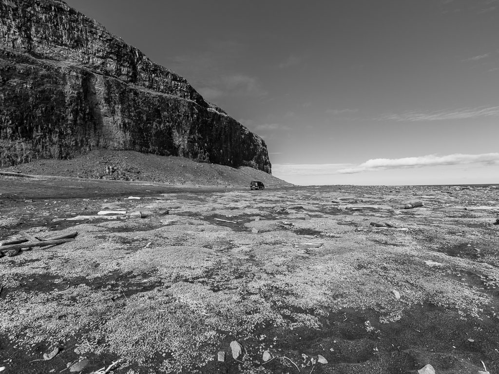 Pentax 645D / 31 Pentax 645D   31