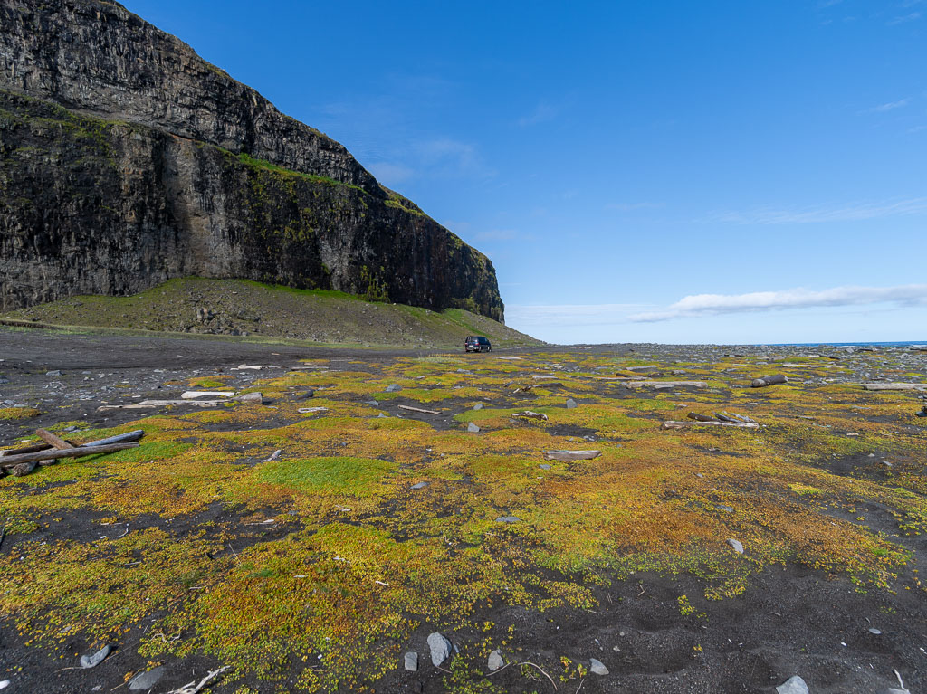 Pentax 645D / 31 Pentax 645D   31