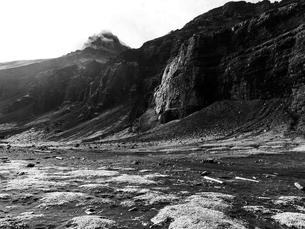 Pentax 645D / 31 Pentax 645D   31