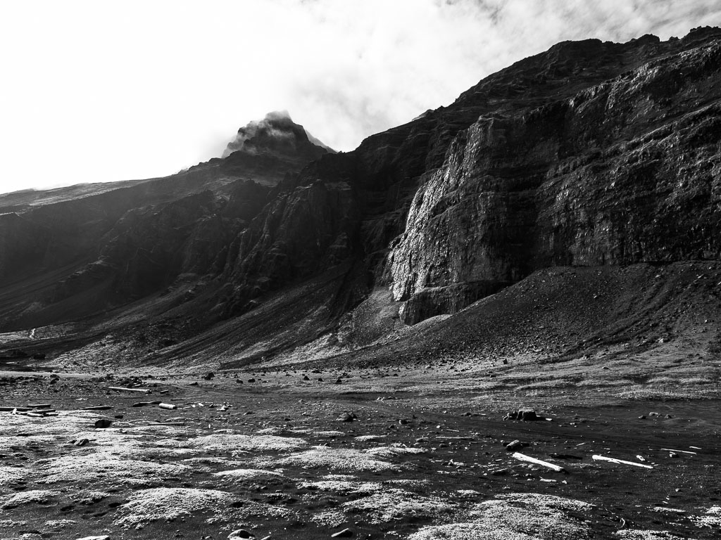 Pentax 645D / 31 Pentax 645D   31