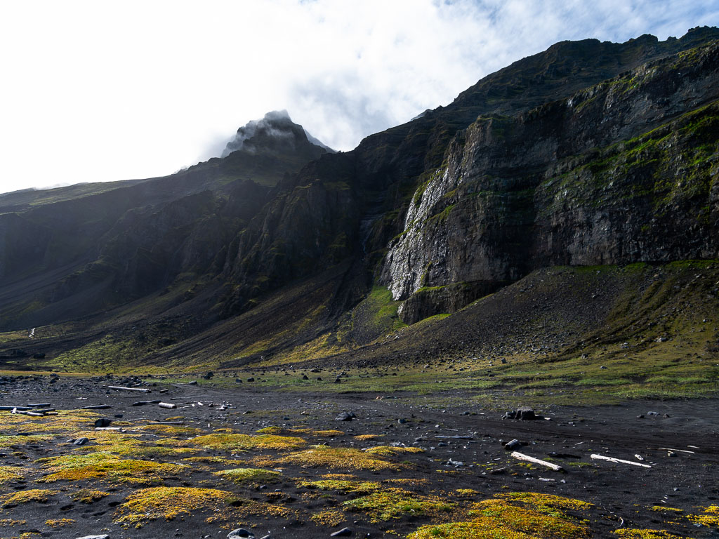 Pentax 645D / 31 Pentax 645D   31