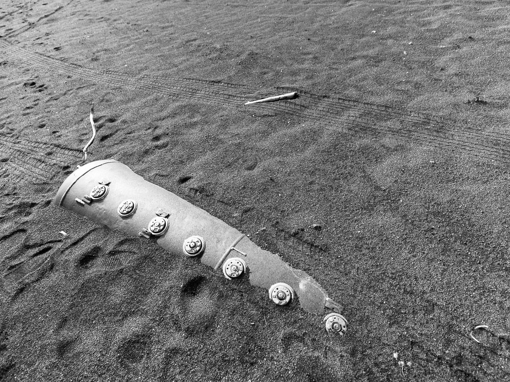 Pentax 645D / 31 Pentax 645D   31