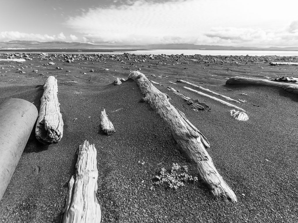 Pentax 645D / 31 Pentax 645D   31