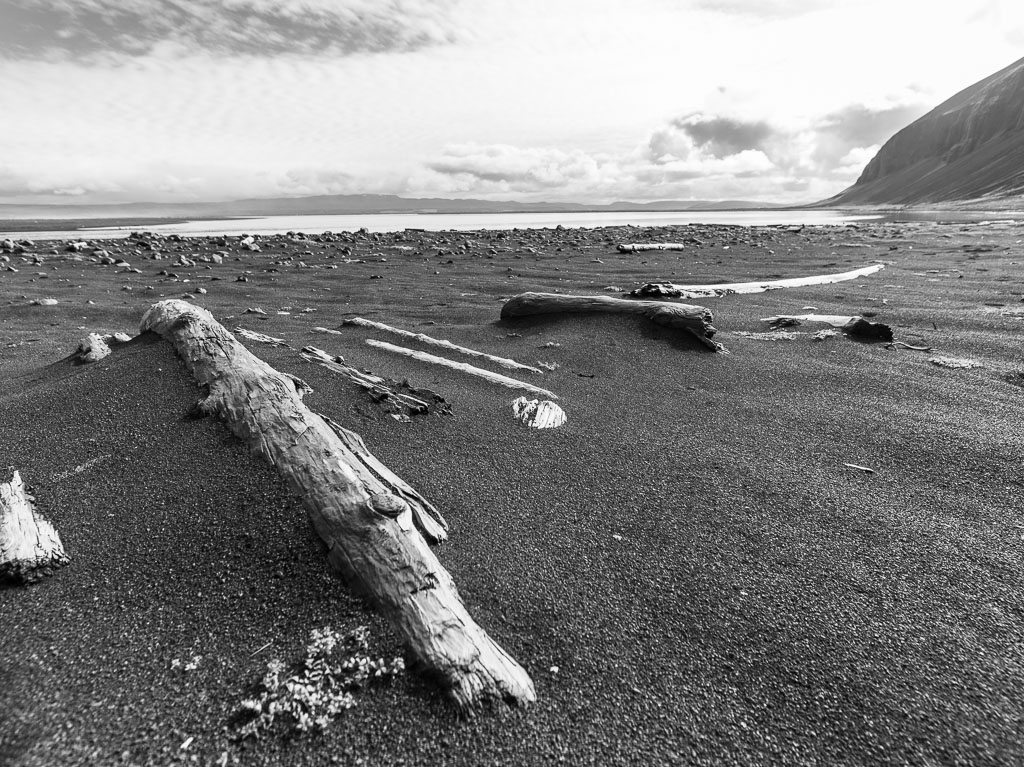 Pentax 645D / 31 Pentax 645D   31