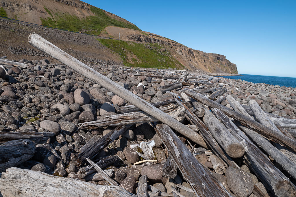 Pentax K-1 / 1 Pentax K-1   1