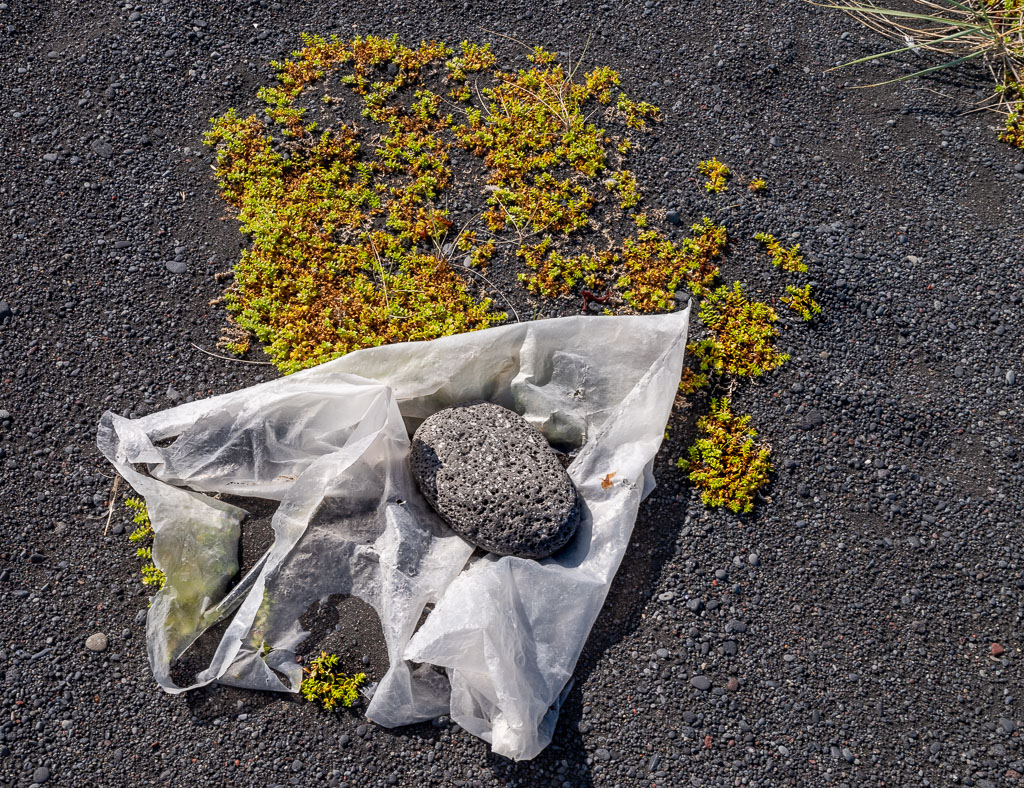 Pentax K-1 / 1 Pentax K-1   1