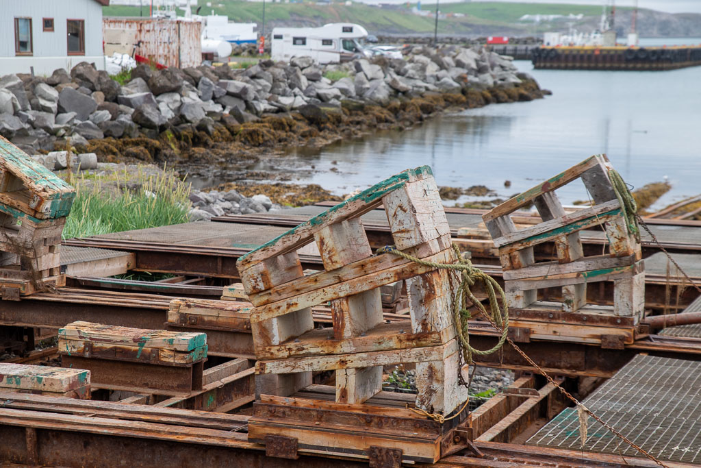 Pentax K-1 / 5 Pentax K-1   5