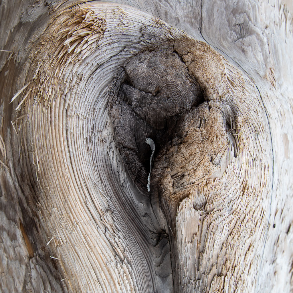 Pentax K-1 / 5 Pentax K-1   5