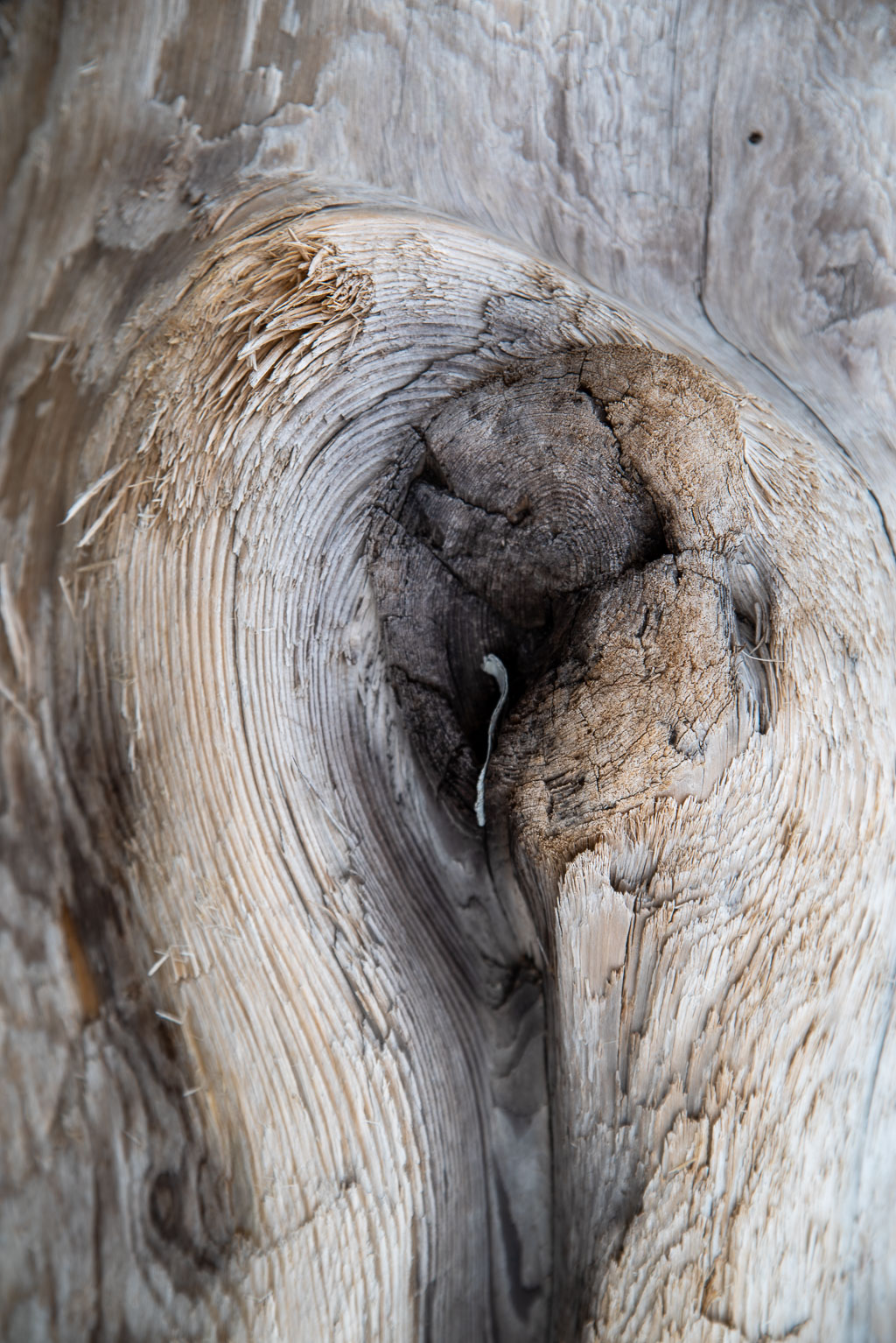 Pentax K-1 / 5 Pentax K-1   5