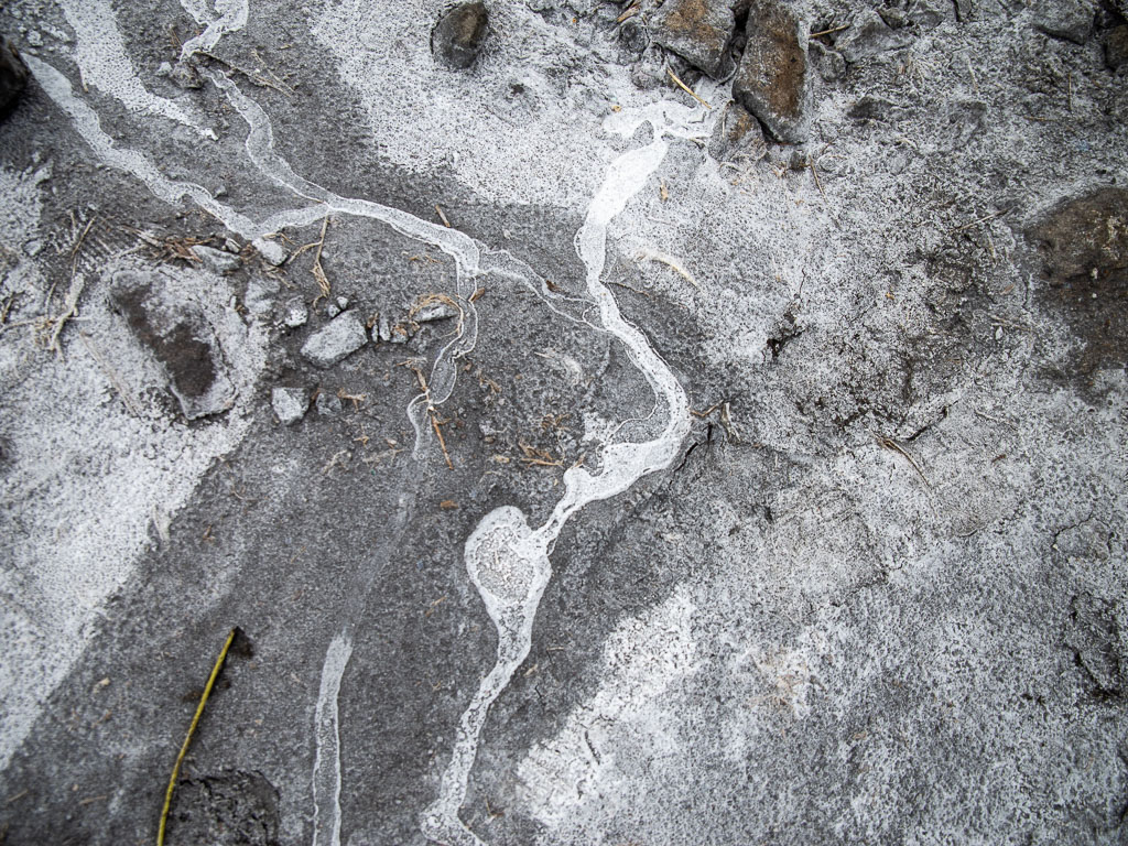 Pentax K-1 / 5 Pentax K-1   5