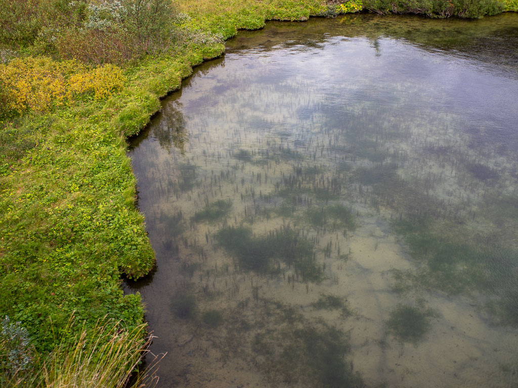 Pentax K-1 / 6 Pentax K-1   6