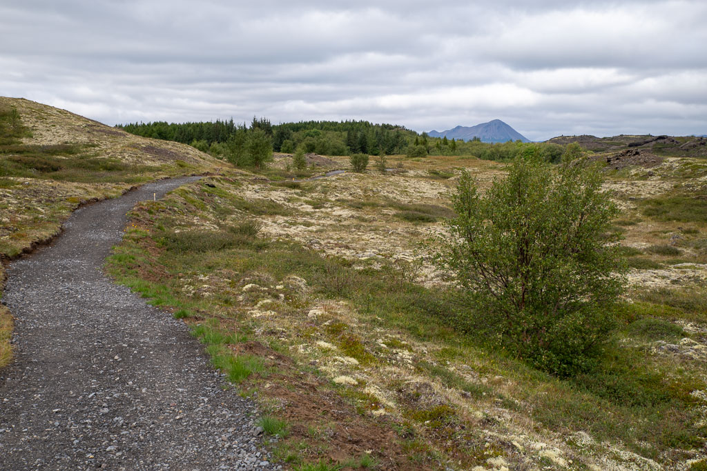 Pentax K-1 / 6 Pentax K-1   6